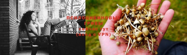 метадон Алексеевка