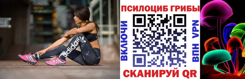 закладка  Исилькуль  Псилоцибиновые грибы GOLDEN TEACHER 